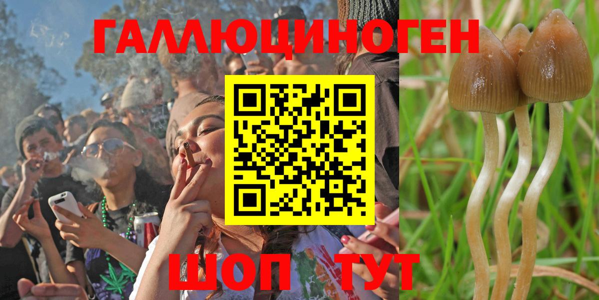 Галлюциногенные грибы GOLDEN TEACHER Протвино