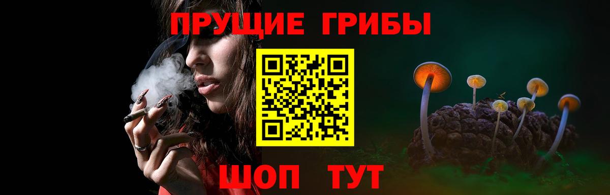 Псилоцибиновые грибы MAGIC MUSHROOMS  Вход с VPN  Протвино 
